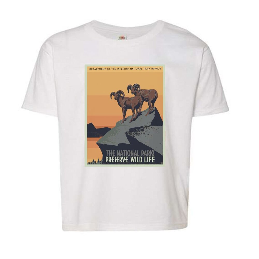 NWT Kids National Parks Crew Neck T-shirt - White